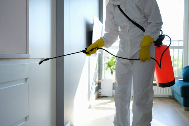 Office Mold Removal Services in Williston, FL